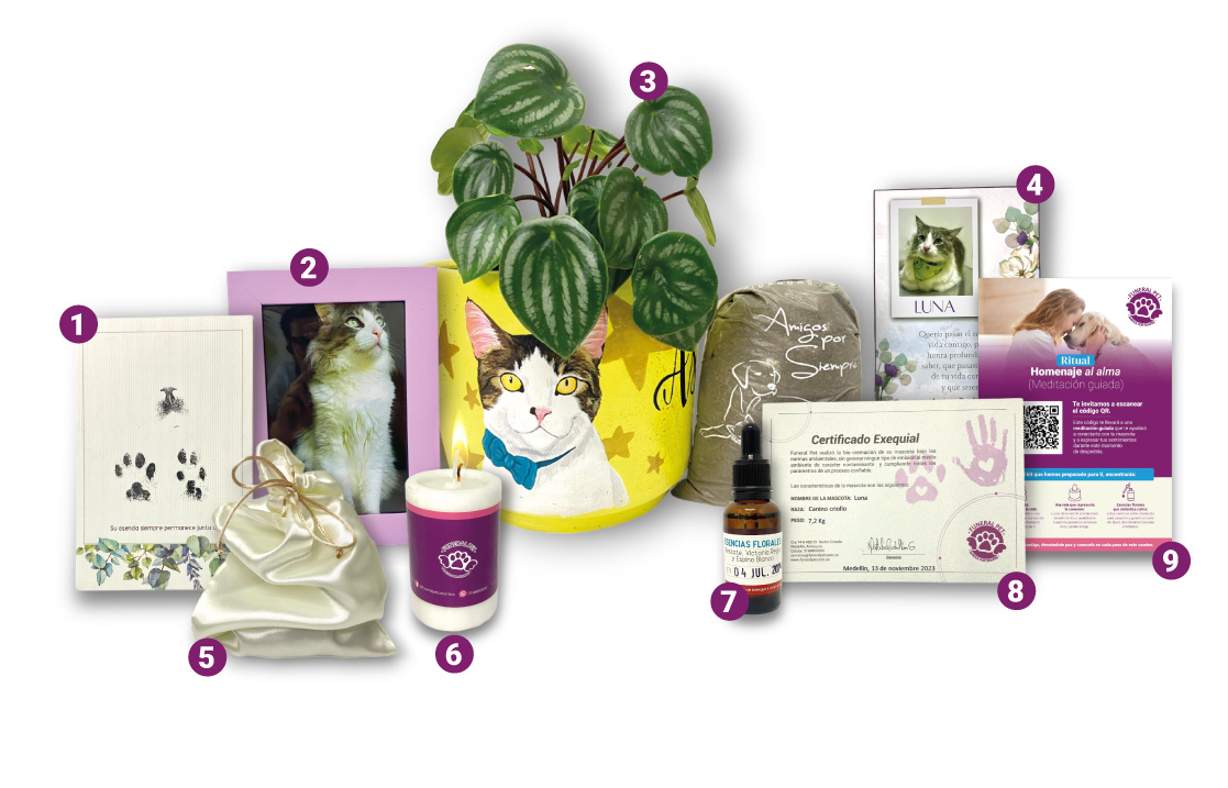 Funeraria para mascotas en Medellín, especializada en cremación ecológica, bio-inhumación y servicios funerarios respetuosos, con sala de velación y cementerio.