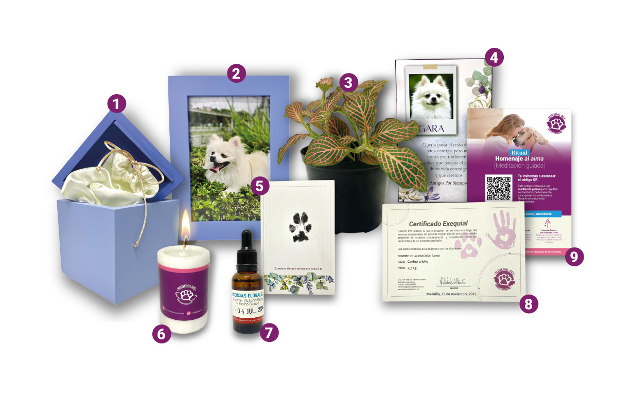 Funeraria para mascotas en Medellín, especializada en cremación ecológica, bio-inhumación y servicios funerarios respetuosos, con sala de velación y cementerio.