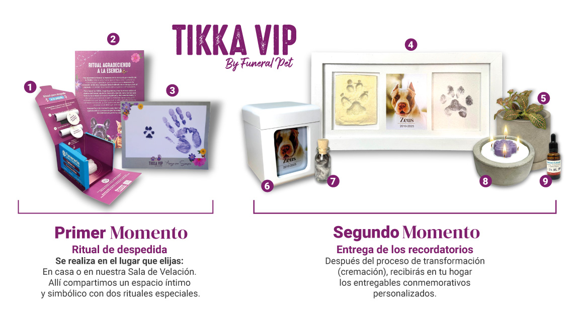 Funeraria para mascotas en Medellín, especializada en cremación ecológica, bio-inhumación y servicios funerarios respetuosos, con sala de velación y cementerio.