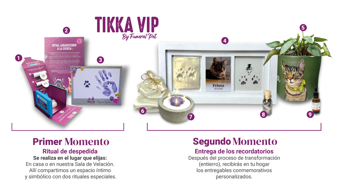 Funeraria para mascotas en Medellín, especializada en cremación ecológica, bio-inhumación y servicios funerarios respetuosos, con sala de velación y cementerio.