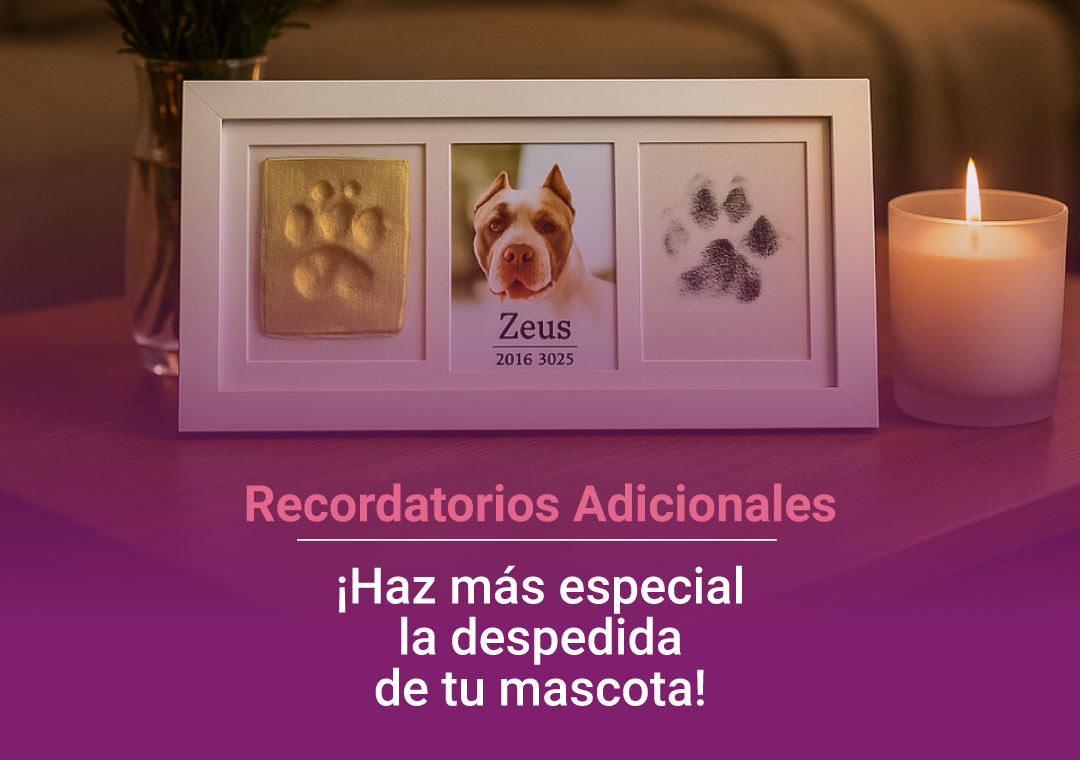 Funeraria para mascotas en Medellín, especializada en cremación ecológica, bio-inhumación y servicios funerarios respetuosos, con sala de velación y cementerio.