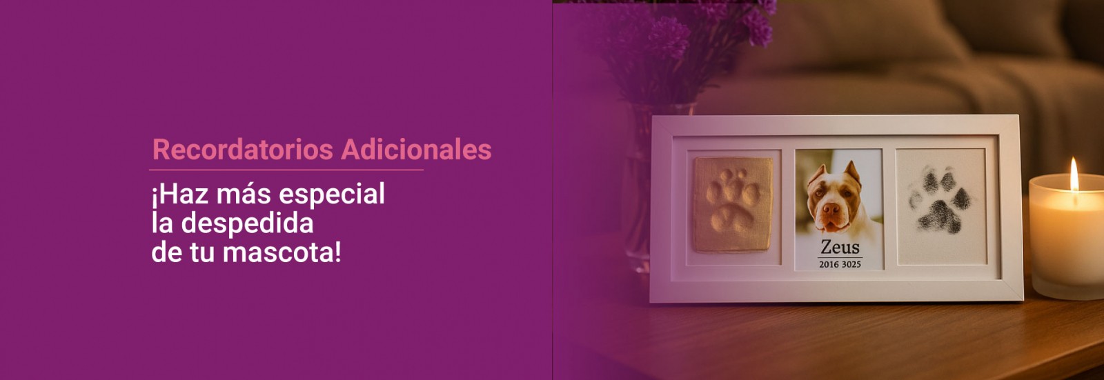 Funeraria para mascotas en Medellín, especializada en cremación ecológica, bio-inhumación y servicios funerarios respetuosos, con sala de velación y cementerio.