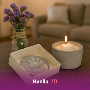Funeraria para mascotas en Medellín, especializada en cremación ecológica, bio-inhumación y servicios funerarios respetuosos, con sala de velación y cementerio.