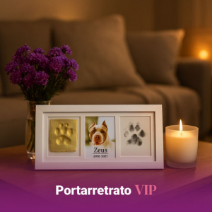 Funeraria para mascotas en Medellín, especializada en cremación ecológica, bio-inhumación y servicios funerarios respetuosos, con sala de velación y cementerio.
